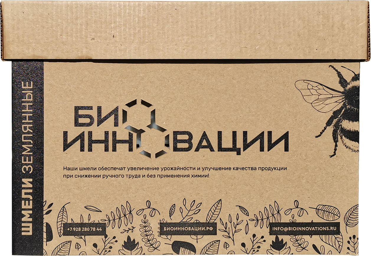realboxru@2x